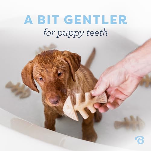Benebone Puppy Fishbone Dog Chew Toys, Softer for Modest Chewers, Made in USA