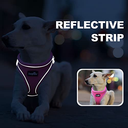 haapaw Dog Harness with Leash Set, No Pull Adjustable Reflective Step-in Puppy Harness with Thickened Padded Vest for Extra-Small/Small Medium Dogs - color: Blue / Pink, size: S