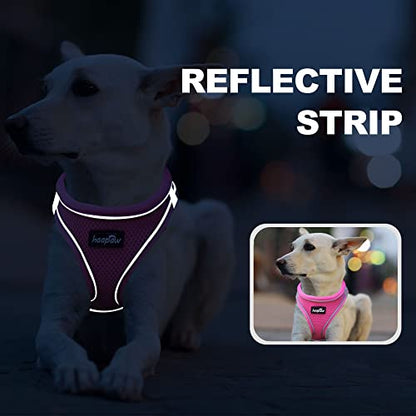 haapaw Dog Harness with Leash Set, No Pull Adjustable Reflective Step-in Puppy Harness with Thickened Padded Vest for Extra-Small/Small Medium Dogs - color: Blue / Pink, size: M