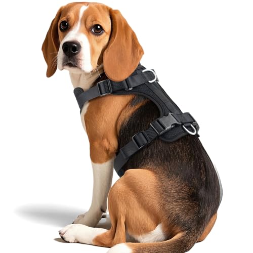 Dog Harness Medium Sized, Pet Vest with Front Clip, Adjustable Puppy Harness with 3 Fast Release Buckles[Easy to Put on & Take Off] (Black, M) - color: Black, size: M: Neck=17"-22"/Chest=15"-28"