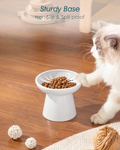 vancasso Elevated Cat Food Bowls 2-Pack, 6.2" Wide Shallow Cat Feeding Bowl for Whisker Fatigue, 5.1" Height Ceramic Raised Food Bowls for Senior Cats, Anti Vomit, White - color: White-Food 2-pack