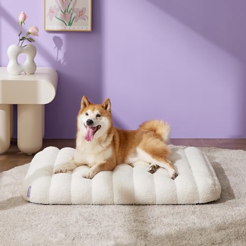LE SURE Cute Orthopedic Dog Bed Medium Size Dog, Waterproof Chic Flat Pet Beds with Removable Washable Cover, Fuzzy Thick Egg Crate Foam Pet Mat for Indoor Use (30" x 20", Cream) - color: Cream, size: 30"L x 20"W x 4"Th