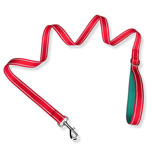 PHOEPET 5 Feet Dog Leash - Dual-Side Reflective - Soft Padded Handle - Fit for Walking, Training or Exploring Hiking, Camping(Red + Dark Green Base) - color: Red + Dark Green Base