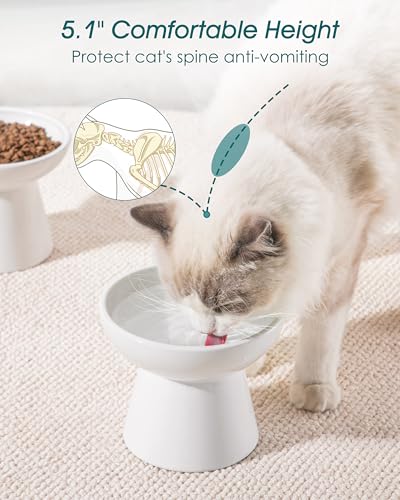 vancasso Elevated Cat Bowls 2-Pack, Ceramic Raised Cat Food and Water Dishes with 5.1" Height & 6.2" Wide Opening - Anti Vomit, Whisker Fatigue Relief for Senior Cats, and Small Dogs (White) - color: White