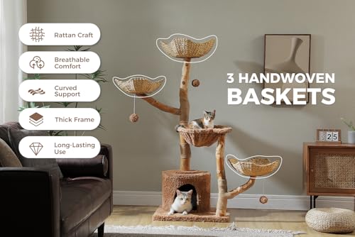 MUTTROS 59" Cat Tree Tower with Real Solid Wood Natural Branch, Modern Cat Tree for Large Cats w/3 Handwoven Wicker Baskets- Luxury Boho Cat Furniture w/Condo & Soft Hammock, Scratching Post, Brown - color: Brown, size: 59" Solid Wood Cat Tree