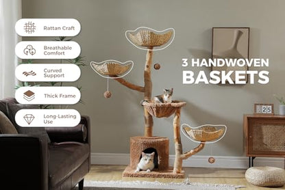 MUTTROS 59" Cat Tree Tower with Real Solid Wood Natural Branch, Modern Cat Tree for Large Cats w/3 Handwoven Wicker Baskets- Luxury Boho Cat Furniture w/Condo & Soft Hammock, Scratching Post, Brown - color: Brown, size: 59" Solid Wood Cat Tree
