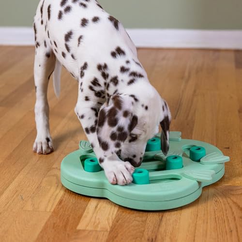 Outward Hound by Nina Ottosson Puppy Hide N' Slide Treat Puzzle Enrichment Dog Toy, Green - color: Puppy Hide-N-Slide (Green)