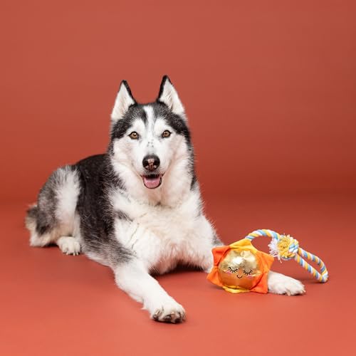 Fringe Studio Plush Dog Toy with Rope, Sun-Day I'm in Love, Pet Shop Collection (314526) - color: Sun-Day I'M In Love