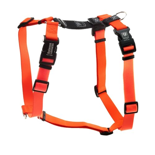 Blue-9 Buckle-Neck Balance Harness, Fully Customizable Fit No-Pull Harness, Ideal for Dog Training and Obedience, Made in The USA, Orange, Medium - color: Orange, size: M (Ribcage: 21"-32")