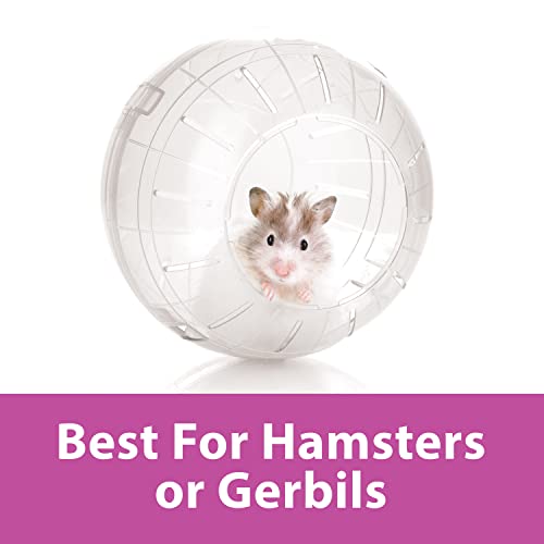 Kaytee 7" Clear Run-About Exercise Ball For Pet Hamsters & Gerbils - color: Clear, size: 7"