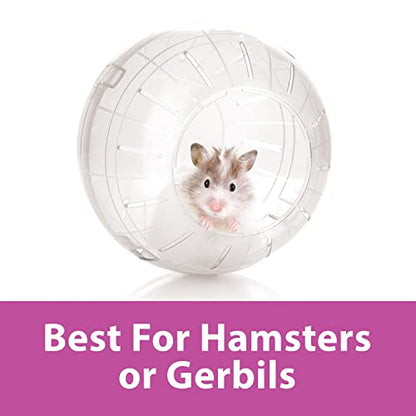 Kaytee 7" Clear Run-About Exercise Ball For Pet Hamsters & Gerbils - color: Clear, size: 7"