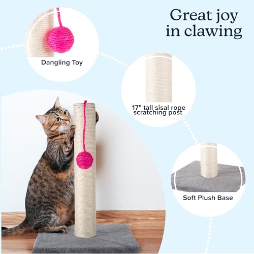 17-Inch Cat Scratching Post - Sisal Rope and Carpet Scratching Pole with Bright Pink Hanging Ball Toy for Adult Cats and Kittens by PETMAKER (Gray) - color: Gray