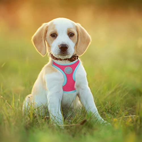 PHOEPET Step-in Dog Harness,Reflective Adjustable Dog Vest Harness, Soft Pet Walking Jacket with 2 Metal Leash Hooks for Dog and Cat(Pink Base & Green Straps,M) - color: Pink Base & Green Straps, size: M (Neck: 11-12”,Chest: 14.5-16”)
