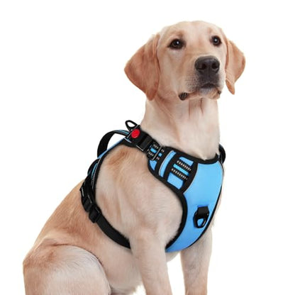 rabbitgoo Dog Harness Medium Sized, No Pull Pet Harness with Soft Padded Handle, Adjustable Reflective Vest with 3 Buckles, Easy Walking Harness with 2 Leash Clips, Light Blue, M - color: Light Blue, size: Medium