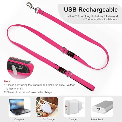 Colaseeme Light Up Dog Leash, LED Pet Leashes USB Rechargeable, Glow Safety Dogs Lights at Night (6FT,Pink) - color: Pink, size: 6FT