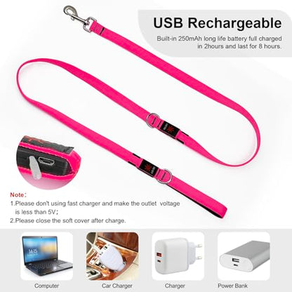 Colaseeme Light Up Dog Leash, LED Pet Leashes USB Rechargeable, Glow Safety Dogs Lights at Night (6FT,Pink) - color: Pink, size: 6FT