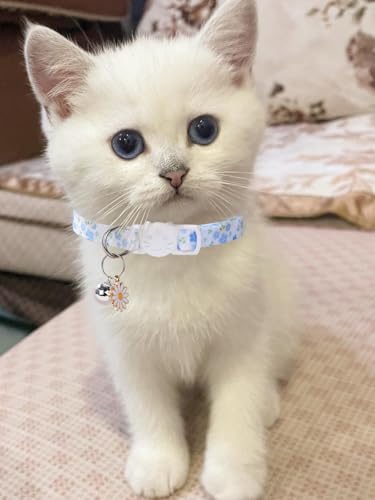 10PC Floral Cat Collar Set with Bells - Breakaway Safety for Kittens and Small Cats (#1) - color: #1