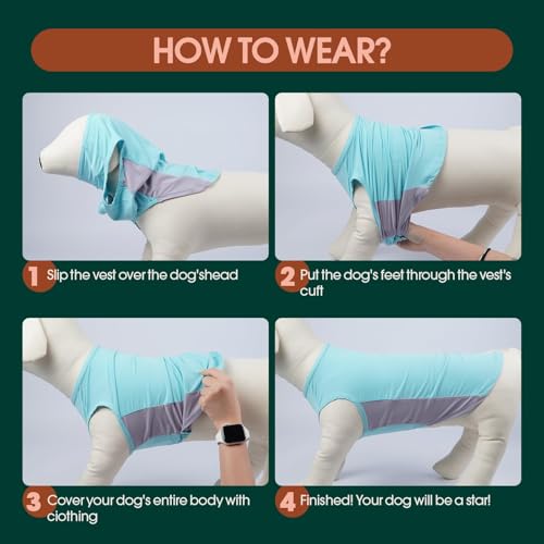 Kuoser Dog Cooling Shirt, Sun Protection Puppy T-Shirts, Quick Dry Dog Summer Clothes for Medium Dogs Boy Girl Blue M - color: Blue, size: M