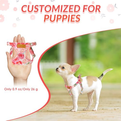 Lukovee Puppy Harness and Leash Set, No Pull Lightweight Soft Suede Adjustable Pet Harness Vest with Snap Buckle for Puppy Small and Medium Size Dog (Pink Rose, XXS) - color: Pink Rose, size: XX-Small ( 2.2-6lb )