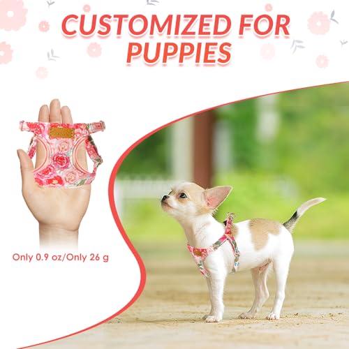 Lukovee Puppy Harness and Leash Set, No Pull Lightweight Soft Suede Adjustable Pet Harness Vest with Snap Buckle for Puppy Small and Medium Size Dog (Pink Rose, XS) - color: Pink Rose, size: X-Small ( 5.5-11lb )