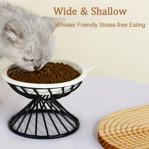 Elevated Cat Bowls,6.3" Wide Raised Ceramic Cat Food Bowl with Anti-Slip Metal Stand for Indoor Cats,Whisker Friendly,Protect Pet's Spine Pet Food Dishes for Flat Faced Cats and Kitten (White) - color: White