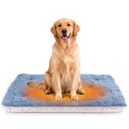 Self Warming Cat Bed, 28 X 22 Inch Reversible Two-Sided Use Self Heating Mat for Cats and Dogs, Washable Cat Warming Pad for Indoor Use, Cozy Flannel Base. (M - 28 X 22 Inch) - size: M - 28 X 22 Inch