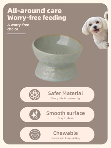 GDCZ Elevated Ceramic Puppy Bowl, 5 Oz Raised and Tilted Water Bowl, Pet Bowl for Small Dog, Fat Faced Cat, Kitten (Grey) - color: Grey