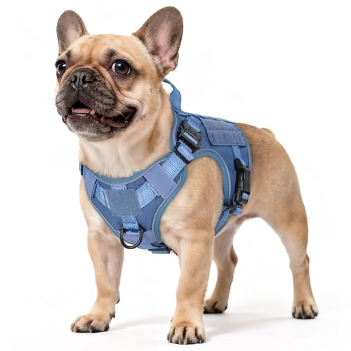 rabbitgoo Tactical Dog Harness Small Sized, No Pull Upgraded Reflective Heavy Duty Molle Vest with Handle, Adjustable Military Service Dog Vest for Walking Hiking Training, Blue, S - color: Blue Reflective, size: Small