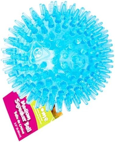 Gnawsome Medium Squeaker Ball Dog Toy, Medium 3.5", Colors Will Vary, All Breed Sizes (Pack of 12) - size: Medium (Pack of 12)