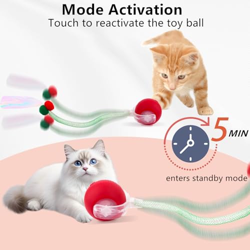 SUPERSUN Interactive Cat Toy Balls, Automatic Rolling Cat Tease Ball with Bird Chirping Sound & 3 Modes, Rechargeable USB Kitten Toys for Indoor Cats, 2 Fun Flexible Tails Stimulate Hunting Instincts