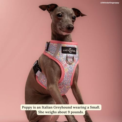 Lucy & Co. Ditsy Daydream No-Pull Dog Harness, Adjustable Front Clip Harness with Comfort Padding, Small - color: Ditsy Daydream, size: Small