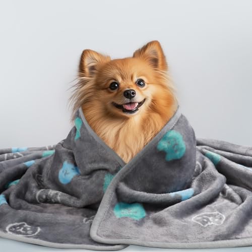 1 Pack 3 Blankets Super Soft Fluffy Premium Cute Cat Pattern Pet Blanket Flannel Throw for Dog Puppy Kitten Blue/Cyan/Grey Small(23x16 inch) - color: Blue/Cyan/Grey, size: 23x16 inch (Pack of 3)