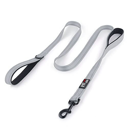 Plutus Pet Double Handle Dog Leash 4ft, Heavy Duty, Reflective Dual Handle Dog Leash for Safety Training, for Medium Large Dogs,2 Handle Leads(Gray) - color: Gray, size: 4 FT