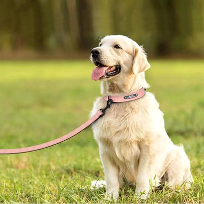 Didog Custom PU Leather Dog Collars with Personalized Engraving Nameplate,Personalized Padded Dog Collars Engraved for Small Medium,Light Pink,M Size - color: Light Pink, size: M: Fit 11-14"Neck