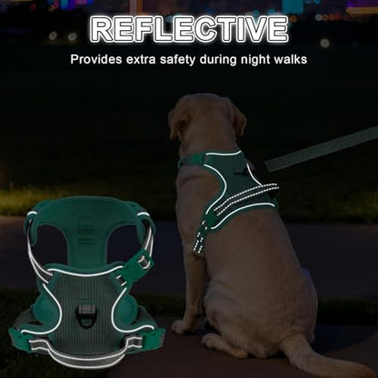 BEAUTYZOO No Pull Dog Harness, Adjustable Dog Harness and Leash Set -Easy Wearing with 3 Buckles/Control Handle,No Choke Soft Padded Reflective Pet Vest for Training Walking Hiking,Solid Aqua Blue S - color: Solid Aqua Blue, size: S: chest 14"-24"