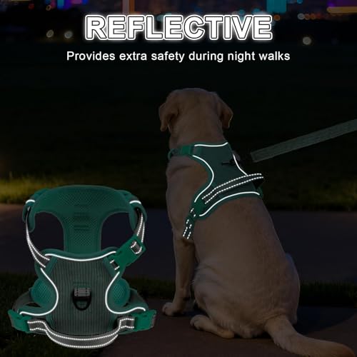 BEAUTYZOO No Pull Dog Harness, Adjustable Dog Harness and Leash Set -Easy Wearing with 3 Buckles/Control Handle,No Choke Soft Padded Reflective Pet Vest for Training Walking Hiking,Solid Aqua Blue M - color: Solid Aqua Blue, size: M: chest 16"-28"