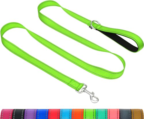 Taglory Dog Leash for Medium Large Dogs, Double-Sided Reflective for Night Walking, Neoprene Padded Handle, 1 inch by 5 ft, Heavy Duty for Medium Large Breeds 20-150 lbs, Green - color: Neon Green, size: 1 in x 5 ft (Pack of 1)