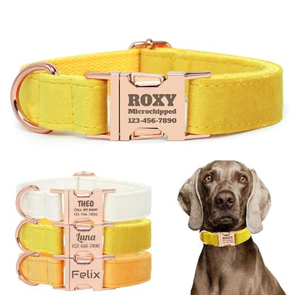 Personalized Velvet Dog Collar with Name - Custom Engraved Buckle, Adjustable Luxury Velvet Collar for Small Medium Large Dogs (Lemon, XL) - color: Lemon, size: XL