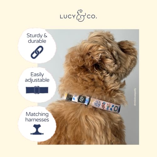 Lucy & Co. Dolce Vita Dog Collar, Adjustable Durable Dog Collar with Cute Print, Small - color: Dolce Vita, size: Small