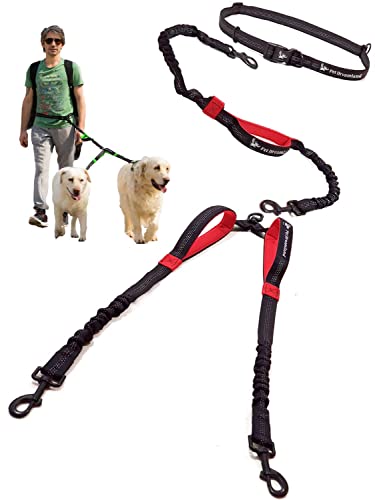 Exquisite Hands Free Double Leash for Two Dogs No Tangle. Premium Quality & Versatile Running Your Two Large Dogs. You Will Absolutely Love This Amazing Dual Dog Leash (Black & Red) - color: Black & Red