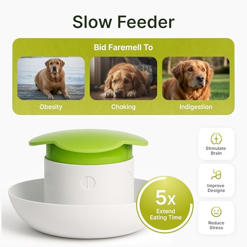Dog Slow Feeder Bowl – Interactive Puzzle Feeder for Dogs – Fun Eating Game to Slow Down Fast Eaters – Non-Slip Design – Food & Water Bowl for Small, Medium & Large Dogs – Green