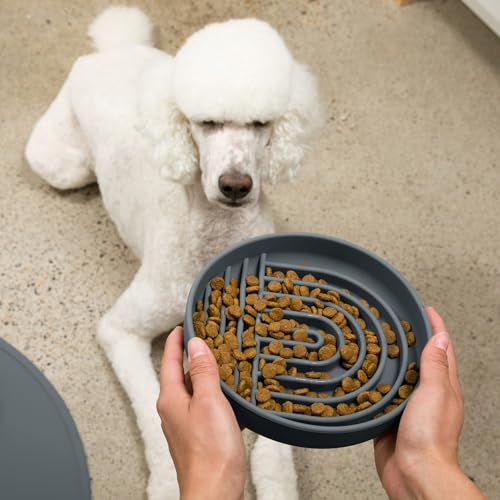 Should We Go? Slow Feeder for Dogs & Puppies, The Slowdown Bowl Silicone Slow Eating, Modern Lick Mat Design, Reduces Gulping, Fits 2.5 Cups 9.5” Across x 1.5” Tall, Mealtime Challenge, Large-Charcoal - color: Charcoal - Rainbow Design, size: Large (9.5”