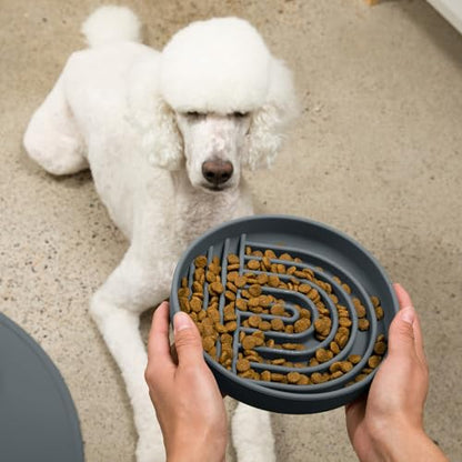 Should We Go? Slow Feeder for Dogs & Puppies, The Slowdown Bowl Silicone Slow Eating, Modern Lick Mat Design, Reduces Gulping, Fits 2.5 Cups 9.5” Across x 1.5” Tall, Mealtime Challenge, Large-Charcoal - color: Charcoal - Rainbow Design, size: Large (9.5”