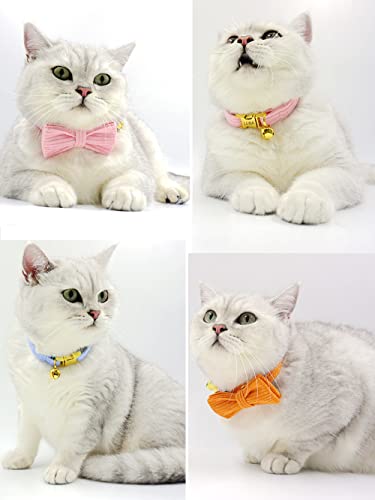 Personalized Cat Collar with Engraved Name and Phone Number - Customizable Kitten Collars for Boys and Girls (Stripe Velvet) - color: Stripe Velvet
