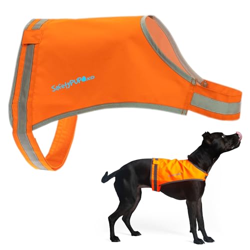 SafetyPUP XD Lite Blaze Orange Reflective Dog Vest – High Visibility Hunting & Safety Vest with Lightweight Mid-Back Coverage. Apparel Gear for Small Medium and Large Breeds - color: Orange, size: Large