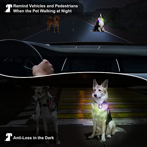 Dog Collar Light, 4 Modes Dog Lights for Night Walking, Rechargeable LED Pet Collar Light for Nighttime Clip on, IP68 Waterproof Pet Walking Accessories-2 Pack(Black) - color: Black