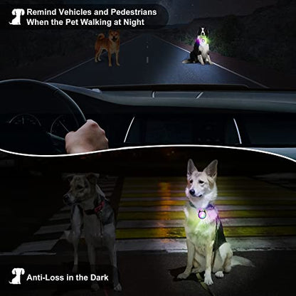 Dog Collar Light, 4 Modes Dog Lights for Night Walking, Rechargeable LED Pet Collar Light for Nighttime Clip on, IP68 Waterproof Pet Walking Accessories-2 Pack(Black) - color: Black