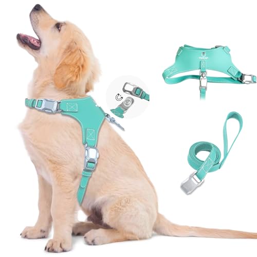 Magnetic Puppy Harness and Leash with Quick Release Buckle, Easy On & Off Faux Leather Dog Harness and Leash for Small, Medium, Large Sized Dogs for Training - color: Mint Blue, size: X Large