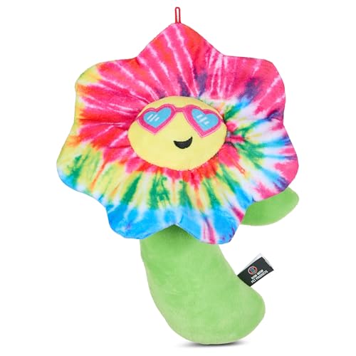 Bow Wow Squeaky Plush Dog Toys – Crinkle Sound – Fun Food & Novelty Shapes – Toss, Tug & Fetch – Canvas & Plush – for Small to Medium Dogs – Multiple Styles (1 Count) - color: Flower