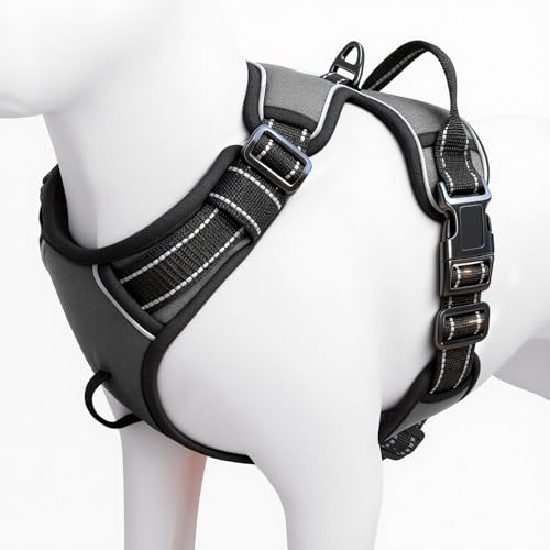 No Pull Dog Harness, No Chock Reflective Adjustable Soft Padded Pet Vest with Easy Control Handle, Easy Wearing with Stylish, Reinforced Knot, 2 Buckles - color: Gray, size: X-Small